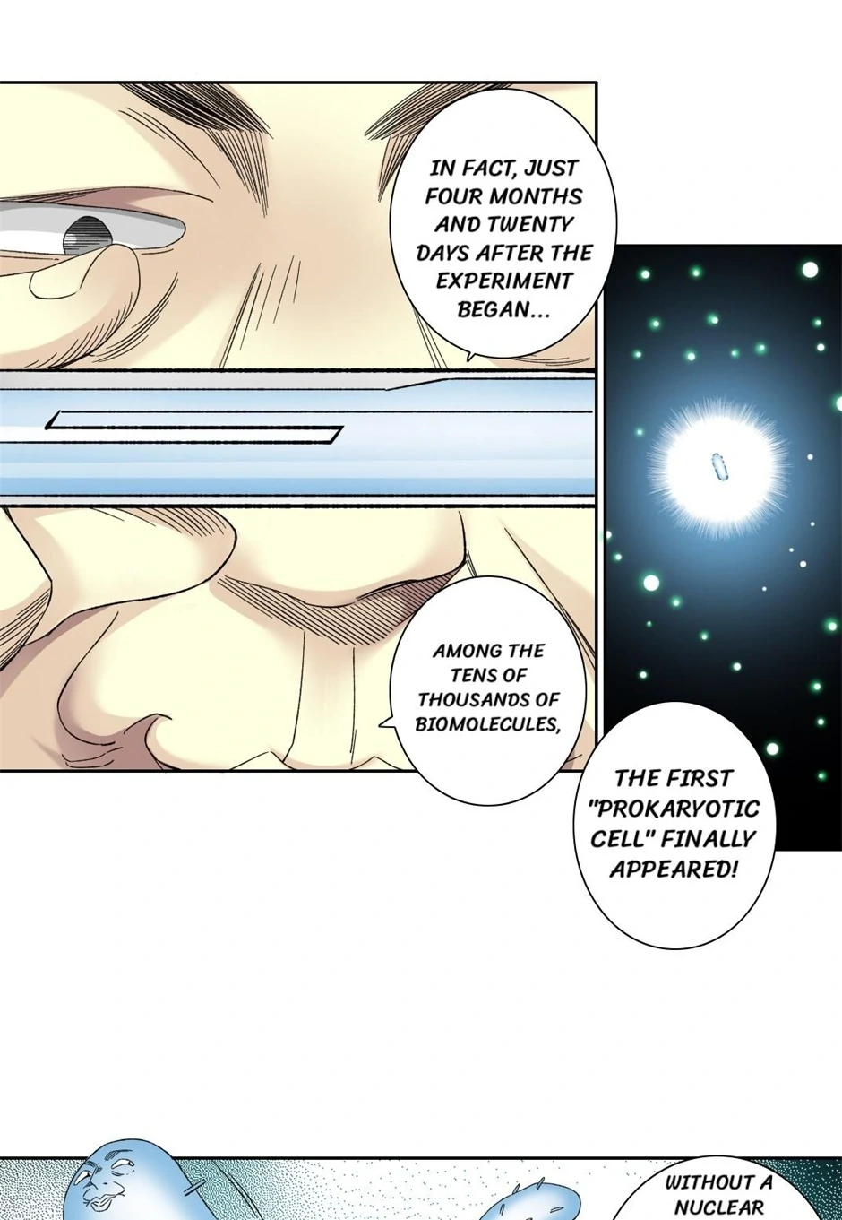 80316788 940 1361 119998