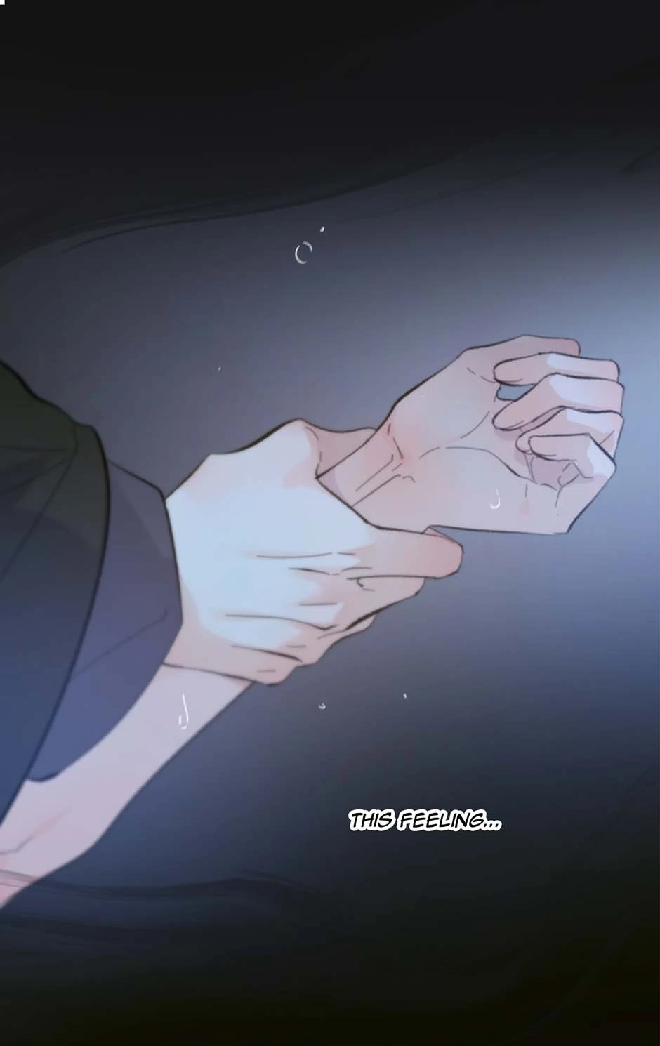 82164363 940 1490 38614